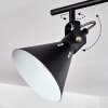 Upiano Ceiling Light chrome, black, 4-light sources