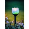 Eglo BLÜTE solar light LED black, 2-light sources, Colour changer