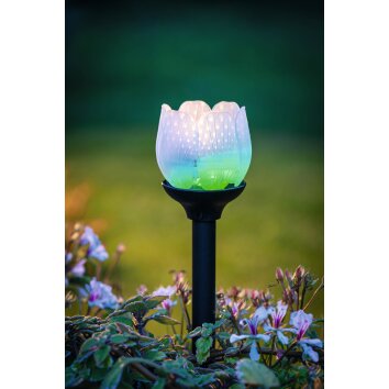 Eglo BLÜTE solar light LED black, 2-light sources, Colour changer