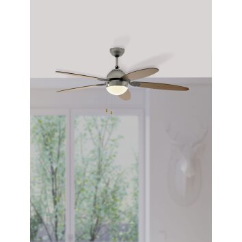 Eglo SUSALE ceiling fan matt nickel, 1-light source