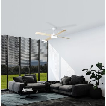 Eglo TRINIDAD ceiling fan LED white, 1-light source