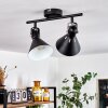 Upiano Ceiling Light black, 2-light sources