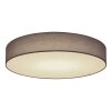 Globo SANNA Ceiling Light LED white, 1-light source