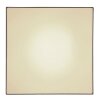 Globo SANNA Ceiling Light LED white, 1-light source