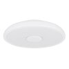 Globo RAFFY Ceiling Light LED black, white, 1-light source, Remote control, Colour changer