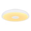 Globo RAFFY Ceiling Light LED black, white, 1-light source, Remote control, Colour changer