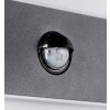 Brilliant Archie Outdoor Wall Light LED black, 1-light source, Motion sensor