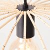 Brilliant Malty Pendant Light black, 1-light source