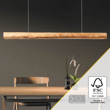 Brilliant Odun Pendant Light LED Light wood, black, 1-light source