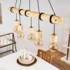 Canedo Pendant Light brown, 5-light sources
