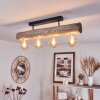 Canedo Ceiling Light black, 4-light sources