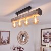 Canedo Ceiling Light black, 4-light sources