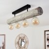 Canedo Ceiling Light black, 4-light sources