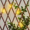 Trygsland solar light string LED brown, 50-light sources
