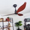 Torgnes ceiling fan brown, Wood like finish, black, Remote control