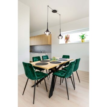 Fabas Luce Apollo Pendant Light black, 2-light sources