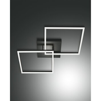 Fabas Luce Bard Ceiling Light LED anthracite, 1-light source