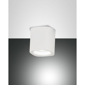 Fabas Luce Smooth spot white, 1-light source