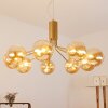 Alden Pendant Light brass, 9-light sources