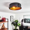Lofthus Ceiling Light black, 1-light source