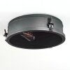 Lofthus Ceiling Light black, 1-light source