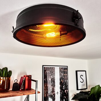 Lofthus Ceiling Light black, 2-light sources