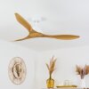 Follseland ceiling fan light brown, Wood like finish, white, Remote control