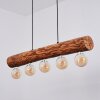 Canedo Pendant Light black, 5-light sources