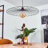 Rossedalen Pendant Light black, 1-light source