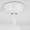 Vasstrand ceiling fan white, Remote control