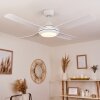 Tjerne ceiling fan LED white, 1-light source