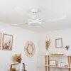 Tjerne ceiling fan LED white, 1-light source
