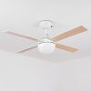 Hausvik ceiling fan brown, white, 1-light source, Remote control