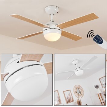 Hausvik ceiling fan brown, white, 1-light source, Remote control