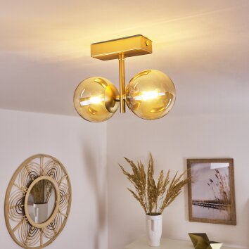 Alden Ceiling Light brass, 2-light sources