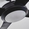 Tjerne ceiling fan LED black, 1-light source