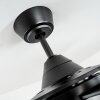 Tjerne ceiling fan black