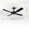 Tjerne ceiling fan black
