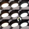 Tjerne ceiling fan LED black, 1-light source, Remote control