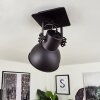 Hora Ceiling Light black, 1-light source