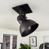 Hora Ceiling Light black, 1-light source