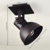 Hora Ceiling Light black, 1-light source