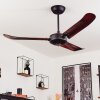 Virrik ceiling fan brown, black, Remote control