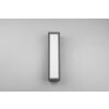 Trio Fuerte Outdoor Wall Light LED anthracite, 1-light source