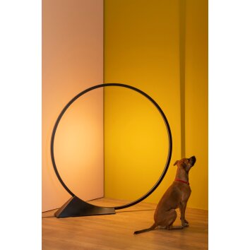 Artemide "O" Floor Lamp LED black, 1-light source