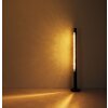 Globo FELICITAS Floor Lamp LED matt nickel, black, 1-light source