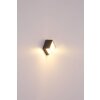 Globo JALLA Outdoor Wall Light LED anthracite, 1-light source