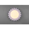 Reality Sunflower Ceiling Light LED white, 2-light sources, Remote control, Colour changer