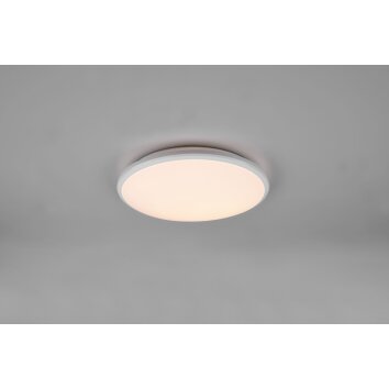 Reality Limbus Ceiling Light LED white, 1-light source