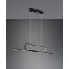 Trio Aick Pendant Light LED black, 1-light source